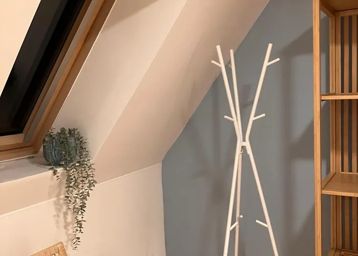 Weitblick Apartment Bad Schussenried